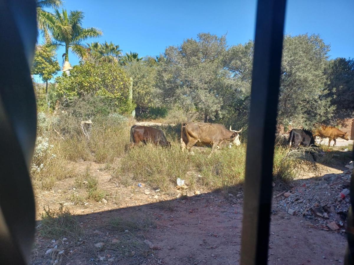 Hacienda Gallardos 104-3 San Carlos Nuevo Guaymas Esterno foto